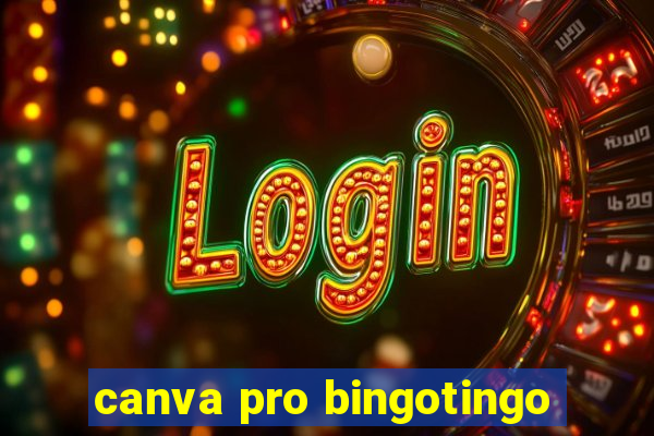 canva pro bingotingo